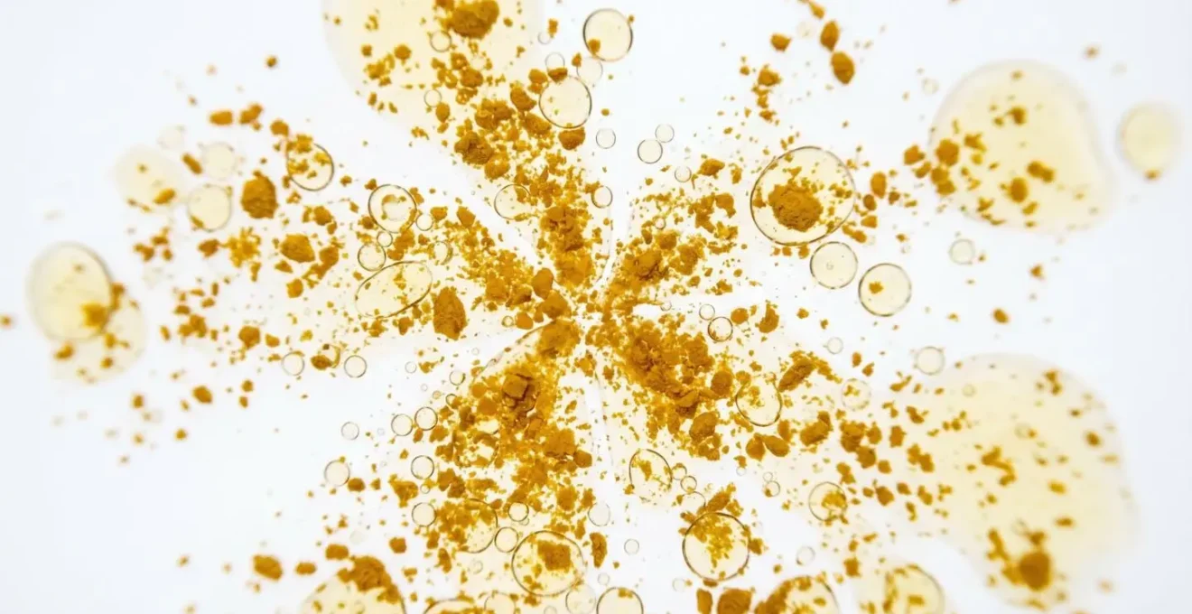 Vue microscopique de micelles lipidiques encapsulant la curcumine pour optimiser son absorption