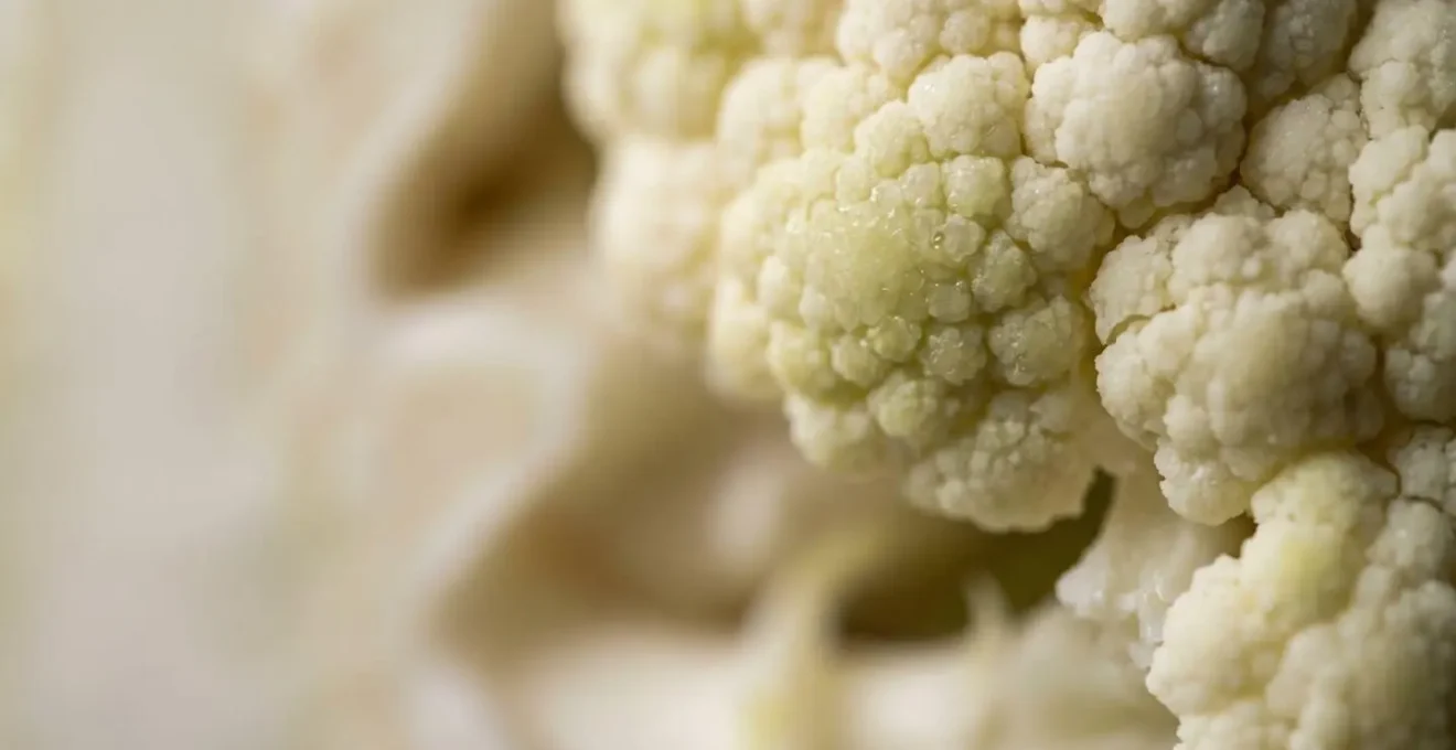 Gros plan macro sur la structure fibreuse d'un légume révélant sa texture complexe et organique