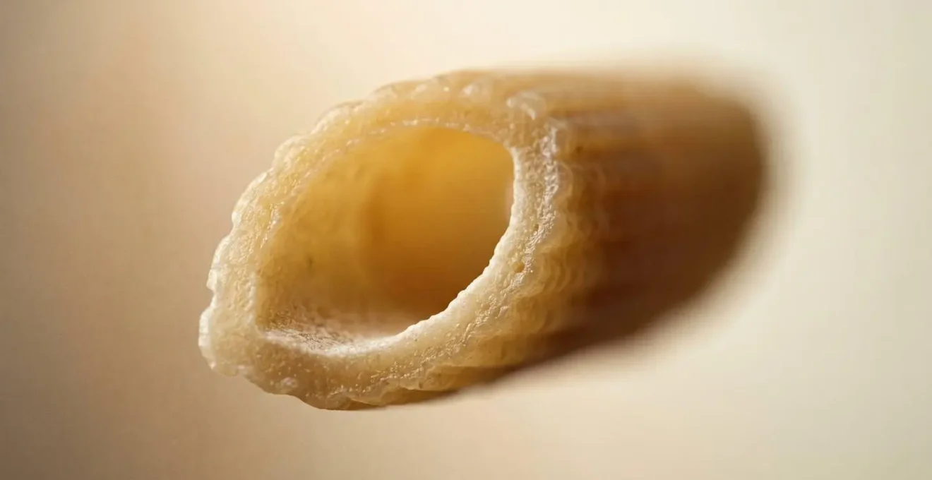 Gros plan macro sur la texture d'une pâte cuite al dente révélant sa structure interne