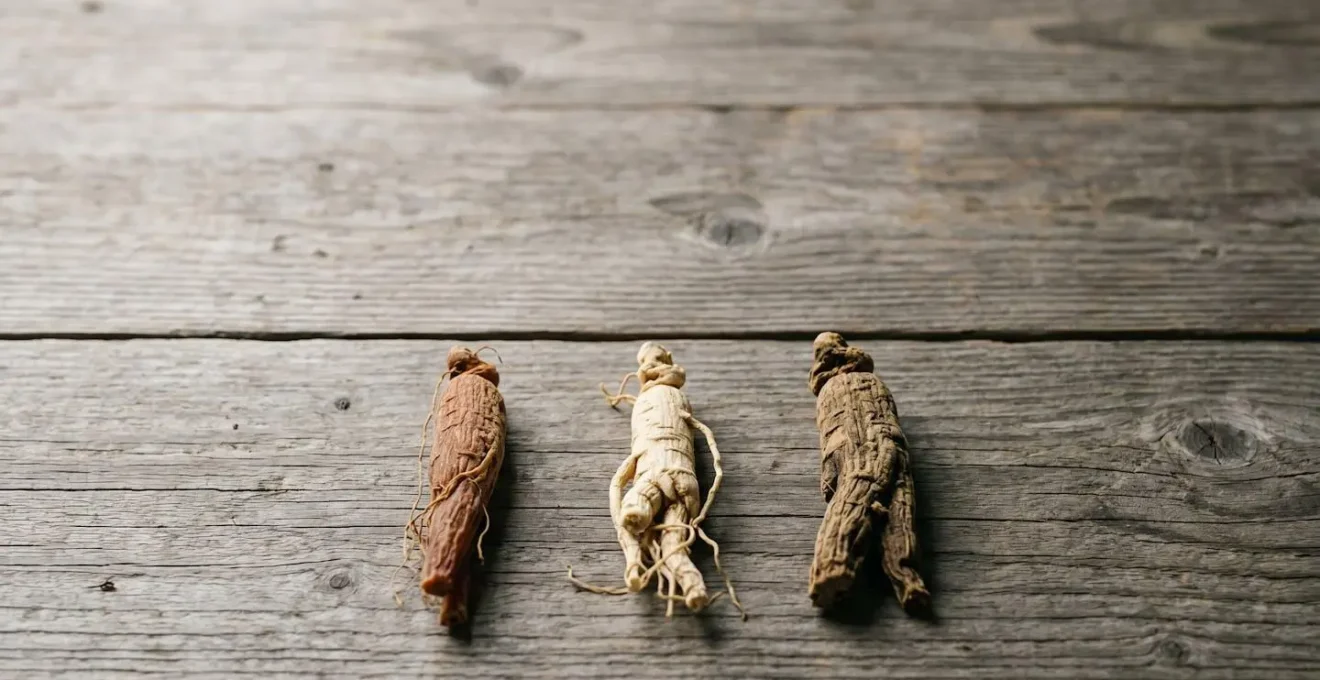 Trois variétés de racines de ginseng disposées côte à côte sur une surface en bois naturel